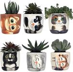 Window Garden Cute Cat Planter Pot - 6 Mini 3" Succulent Kitty Pots - Cute Flower Pots for Indoor Plants - Cat Decor Vase for Cactus, Herb - Cat, Cat Owner Gifts, Unique Gifts, Gift Set