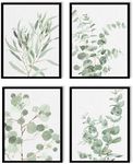 Botanical Prints Wall Art Framed: Sage Green Modern Farmhouse Wall Decor - Boho Wall Art for Bathroom Bedroom - Eucalyptus Nature Plant Pictures Minimalist Room Decor Aesthetic 8x10x4