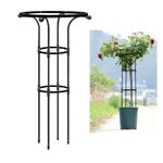 HASTHIP® Metal Garden Trellis for Climbing Plants, Vertical Plant Support with Hollow Roof Design, Rust-Proof Indoor/Outdoor Use for Potted Plants Vegetable Flowers Vine (Dia 20cm, Height 95cm)