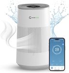 Air Purifier and Humidifier Combo A