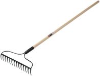 Ames Eagle Bow Rake with 48-Inch Handle 1881600