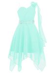 CHICTRY Kids Girls 3D Applique Flower High Low Dress Pleated Chiffon Wedding Bridesmaid Formal Prom Dress Mint Green 9-10 Years