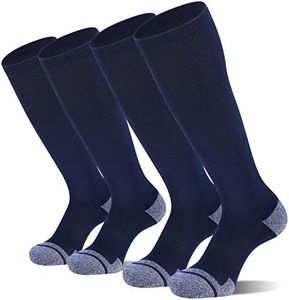 CS CELERSP