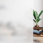 Homein Frosted Window Film Privacy 