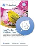 WindowAlert Aspen Leaf Anti-Collision Decal - UV-Reflective Window Decal to Protect Wild Birds from Glass Collisions