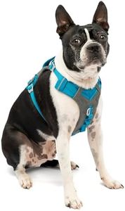 Journey Air Dog Harness, Blue, S