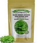 Black Seeded Simpson Leaf Lettuce Seed (Approx.8800 Seeds-11 Grams) Indoor Outdoor Hydroponics Heirloom Non GMO Beautiful Tasty