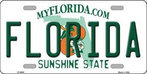 Smart Blonde LP-6005 Florida Novelty Metal License Plate