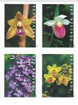 USPS Wild Orchids Forever Stamps - Booklet of 20 Postage Stamps (20 Stamps)