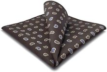 S&W SHLAX&WING Pocket Square for Men Suits Brown Paisley Blue Yellow Elegant Handkerchiefs