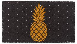 KAF Home Pineapple Coir Doormat - Durable & Weather Resistant Welcome Mat with Non-Slip PVC Backing - Entryway Mat Ideal for Indoor & Outdoor Use (17x30 Inches)