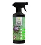 EcoWidow Flea and Tick Repellent Spray - Suitable for Clothing, Carpets, and Pet Bedding - Safe, Non-Toxic, Eco-Friendly Protection for Outdoor Activities 500ml