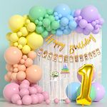 Party Propz Paper Rainbow Birthday Decoration Items-60 Pcs First Birthday Decorations Girl Combo|Rainbow Theme Birthday Decorations|1St Birthday Decoration For Boys|1St Birthday Decoration For Girls