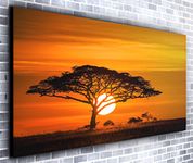 African Sunset Panoramic Canvas Wall Art Print Framed XXL 55 inch x 24 inch Over 4.5 ft Wide x 2 ft High Ready to Hang