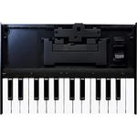 Roland K-25M Boutique Module Dock USB MIDI Keyboard, 12 inch (K-25M), Multi-Colored