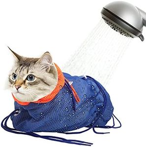 Catcan Cat