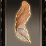 SPACE WOOD Royal Led Wall Sconce for Bedroom Luxury Best Living Room Light Fixture Modern Feather Design Indoor Lustre Wood Lamps (Orange White, 24X9)