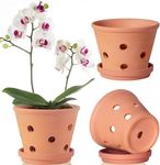 6 inch Terracotta Orchid Pots with 