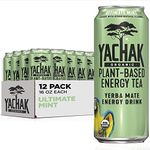 Yachak Yerba Mate Drink, Ultimate Mint, Packaging May Vary, 16 Fl Oz, Pack of 12