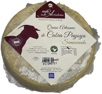 Queso Arte