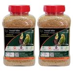 MAF Bird Feed Foxtail Millet For Birds 900 Gram Enriched With Cuttlefish Bone Grit,Thinai, Kangni Seed For All Small Breeds (2)