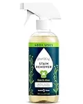 Puracy Stain Remover - Cleaning Spr