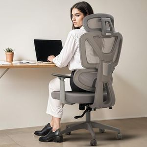 DROGO Premium Ergonomic Office Chair for Work from Home, High Back Computer Chair with Adjustable Seat, Armrest, Rocking Function, 2D Headrest & Lumbar Support | Mesh Chair for Office/Home (Grey)