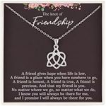 RareLove Friendship Gifts for Women,925 Sterling Silver Sister Celtic Knot Infinity Heart Necklace Jewellery for Best Friend,Bridesmaid Gift,Best Friend Birthday Gifts, for Her