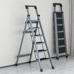 VISCA Ladder for Home 6 Steps Foldable Stairs, Folding Step Stool with Wide Anti-Slip Pedal, 7 Year Manufacturer Warranty 150kg Convenient Handgrip, Lightweight, Portable (Stainless Steel, 6 Step)