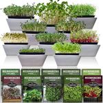 Survival Garden Seeds Microgreens 10 Pack (Seeds Only) - Plant, Sprout, & Grow Assorted Microgreens in Your Kitchen - Arugula, Broccoli, Radish, Pea, Sunflower, Basil, Cabbage, Buckwheat, Kale, Beet