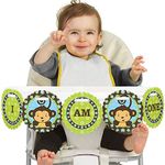 Monkey Boy - First Birthday High Chair Banner