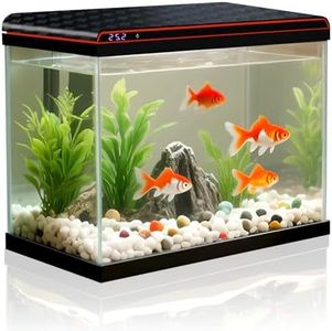 20 Gallon 