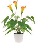 Quancru 44cm Artificial Calla Lily Artificial Peace Lily Plant Flower with White Vase Pot Decoration Indoor Living Room Table Photography