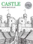 Castle: A Caldecott Honor Award Winner