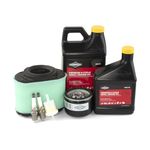 Briggs and Stratton 84002317 Professional Series Maintenance Kit, Multiple