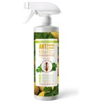 EcoRaider Natural Ant Spray (480ml), Instant Eradication Includes Fire Ants + Lasting Prevention, Non-Toxic + Safe for Children & Pets