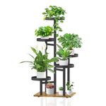 Cb2 Plant Stand