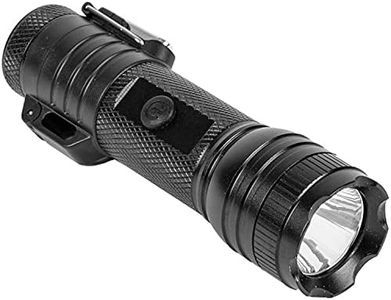 Arc Flashlight and Lighter