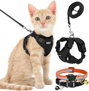 Buraq Pets