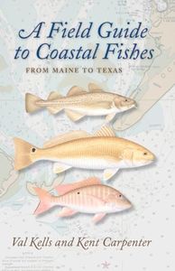 Field Guide to Coastal Fishes:: From Maine to Texas