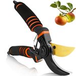 Professional Titanium Garden Secateurs, Gardening Pruning Shears, Garden Scissors, Bypass Secateurs, Garden Pruners for Branches, Hedges and Flowers