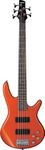 Ibanez Gio SR 5 String Electric Bas