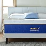 Queen Mattress, Molblly 12 inch Gel Memory Foam Mattress with CertiPUR-US Certified Foam Bed Mattress in a Box for Sleep, Queen Size