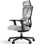 ProtoArc EC100 Ergonomic Office Chair – Computer Desk Chair for Work with 10cm Thicker Spring Cushion, Lumbar Support, Adjustable Armrest & Headrest, Swivel Mesh Chair for Home Office, Grey