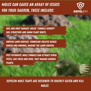 REPELEM Flat Bottom Mole Trap, 10-Pack – Durable Pest Control