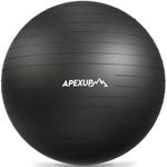 APEXUP Yoga Ball Exercise Ball, Ant