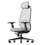 ProtoArc EC200 Ergonomic Office Chair - High Back Computer Desk Chair with 2-Way Adjustable Lumbar Support, Seat Depth & 3D Headrest, Mesh Swivel Desk Chair for Home & Office, Grey