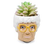 Silver Buffalo The Golden Girls Sophia Face Mini Ceramic Planter With Faux Succulent | 3 Inches