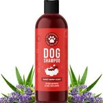 Soothing Oatmeal Shampoo for Dogs - Cleansing and Moisturizing Aloe & Oatmeal Dog Shampoo for Smelly Dogs of All Ages & Breeds - Gentle Sulfate and Paraben Free Dog Wash Made in USA (Sweet Fruity)