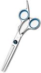 FARRAY Hair Cutting Scissors Thinning Shears，6.5 Inch Professional Stainless Steel Barber Hair Scissors，for Both Salon and Home Use (Silver)